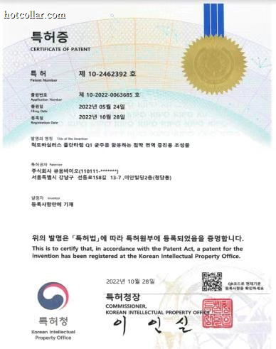 특허증 3